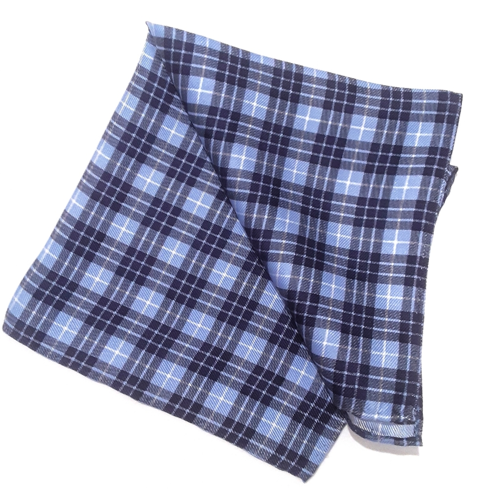Silk scarf pocket square mini plaid 2 for $110🆕️
